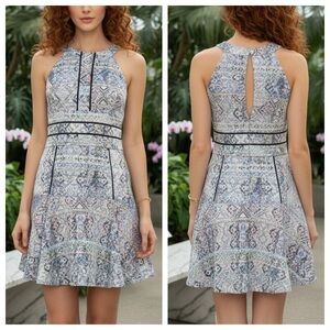 Parker "Brady" Fit & Flare Drop Waist Halter Dress